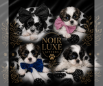 Small #6 Breeder Profile image