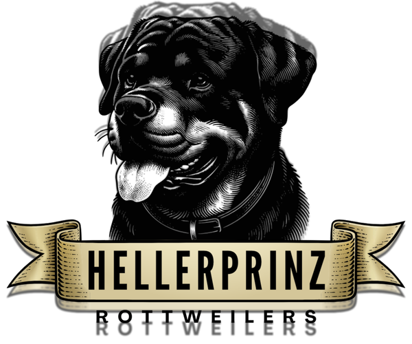 Medium Photo #1  Breeder Profile in MCNEAL, AZ, USA