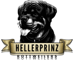 Rottweiler Dog Breeder near MCNEAL, AZ, USA