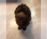 Small #4 Breeder Profile image