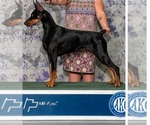 Small #10 Breeder Profile image