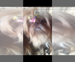 Small #17 Breeder Profile image