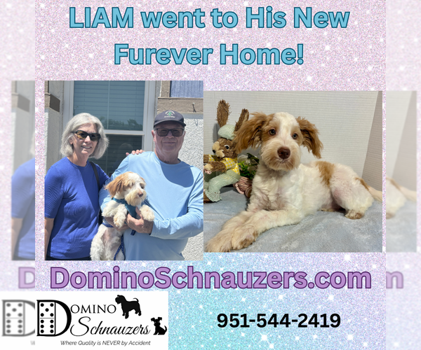 Medium Photo #10  Breeder Profile in MORENO VALLEY, CA, USA