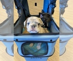 Small #3 Breeder Profile image