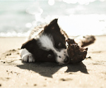 Small #20 Breeder Profile image