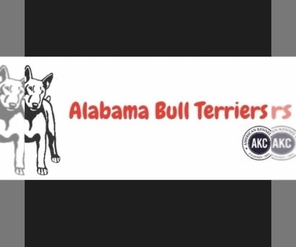 Medium Photo #1  Breeder Profile in TRUSSVILLE, AL, USA