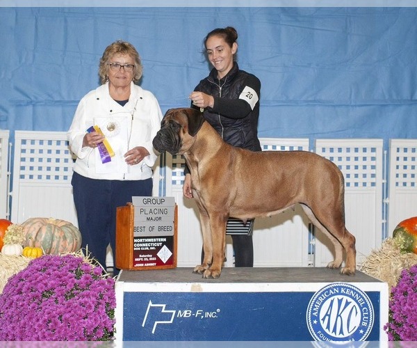 Medium Photo #1  Breeder Profile in PLATTSBURGH, NY, USA