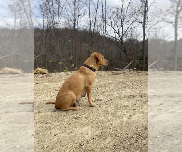 Medium Photo #1  Breeder Profile in COON VALLEY, WI, USA