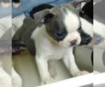 Small #1 Breeder Profile image