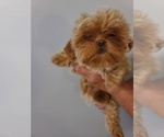 Small #6 Breeder Profile image