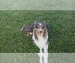 Small #1 Breeder Profile image