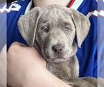 Small #13 Breeder Profile image