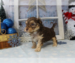 Small #60 Breeder Profile image