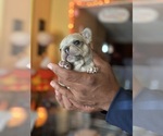 Small #40 Breeder Profile image