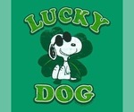 Small #32 Breeder Profile image