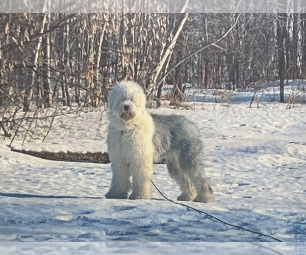 Medium Photo #1  Breeder Profile in Madison, WI, USA