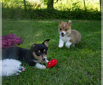 Small #2 Breeder Profile image