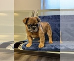 Small #10 Breeder Profile image