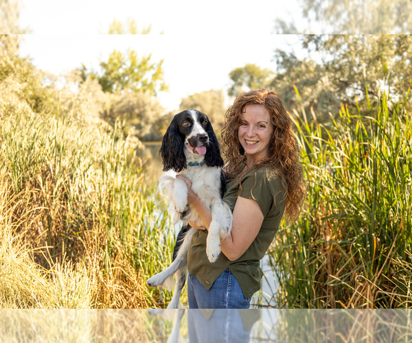 Medium Photo #1  Breeder Profile in NAMPA, ID, USA