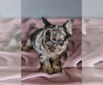 Small #14 Breeder Profile image