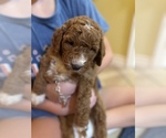 Small #15 Breeder Profile image