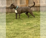 Small #3 Breeder Profile image
