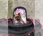 Small #13 Breeder Profile image