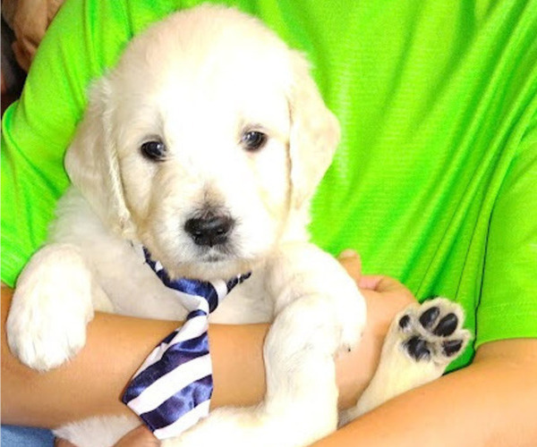 Medium Photo #13  Breeder Profile in ATHENS, TN, USA