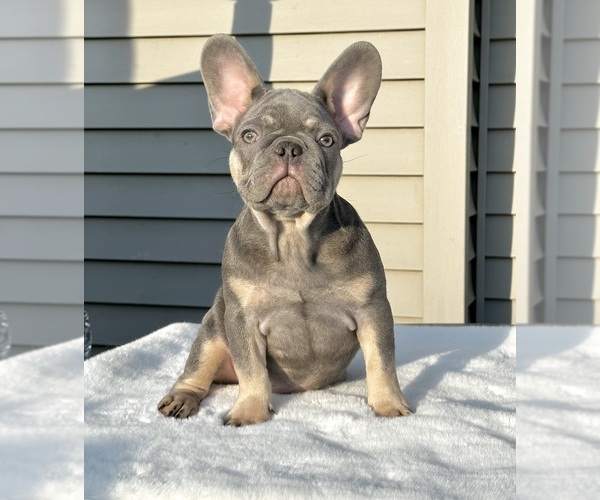 Medium Photo #1  Breeder Profile in BYRON CENTER, MI, USA