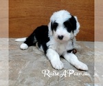 Small #4 Breeder Profile image