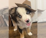 Small #3 Breeder Profile image