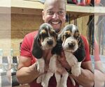 Small #9 Breeder Profile image