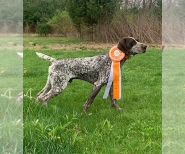 Medium Photo #1  Breeder Profile in Cazenovia, NY, USA