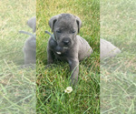Small #8 Breeder Profile image