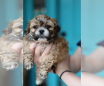 Small #5 Breeder Profile image