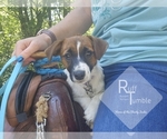 Small #14 Breeder Profile image