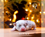 Small #2 Breeder Profile image