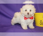 Small #5 Breeder Profile image
