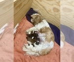 Small #1 Breeder Profile image