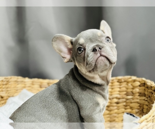Medium Photo #1  Breeder Profile in MURRIETA, CA, USA