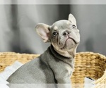 Small breeder photo