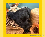 Small #4 Breeder Profile image
