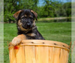 Small breeder photo