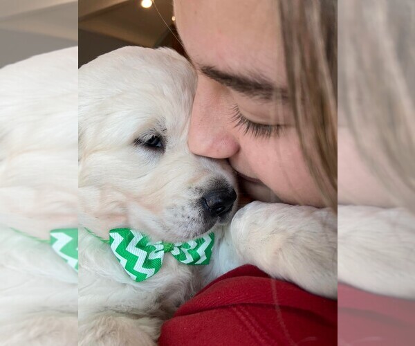 Medium Photo #1  Breeder Profile in RAMONA, CA, USA