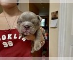 Small #3 Breeder Profile image