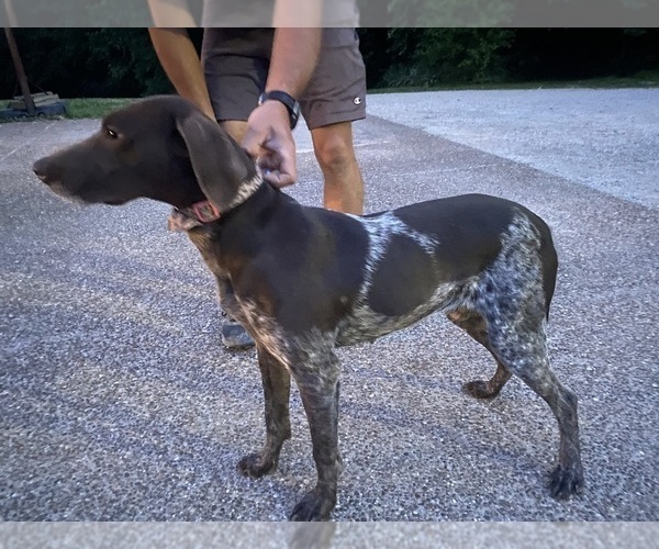 Medium Photo #3  Breeder Profile in BOONVILLE, IN, USA