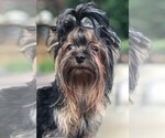 Small #5 Breeder Profile image
