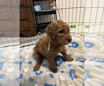 Small #23 Breeder Profile image