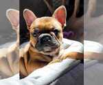 Small #3 Breeder Profile image