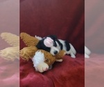 Small #150 Breeder Profile image
